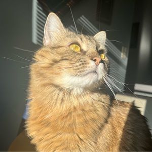 Meet your Posher, Madalyn